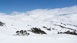 The Snowy Mountain resort - Perisher Blue within an hour and a half drive of Cooma. 